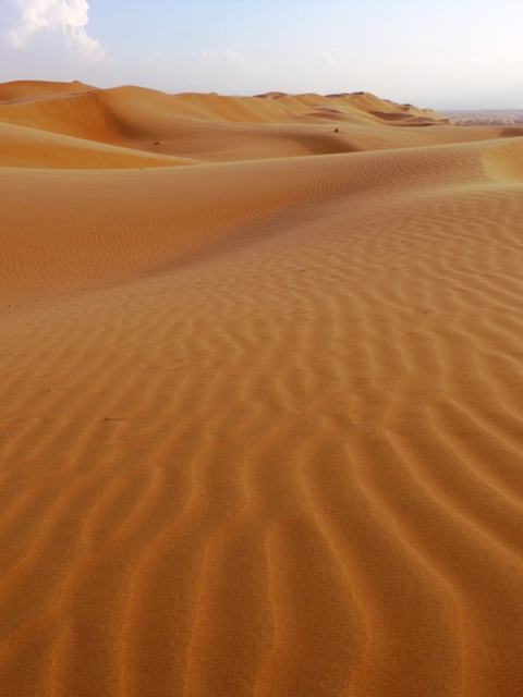 Wahiba Sands dunes